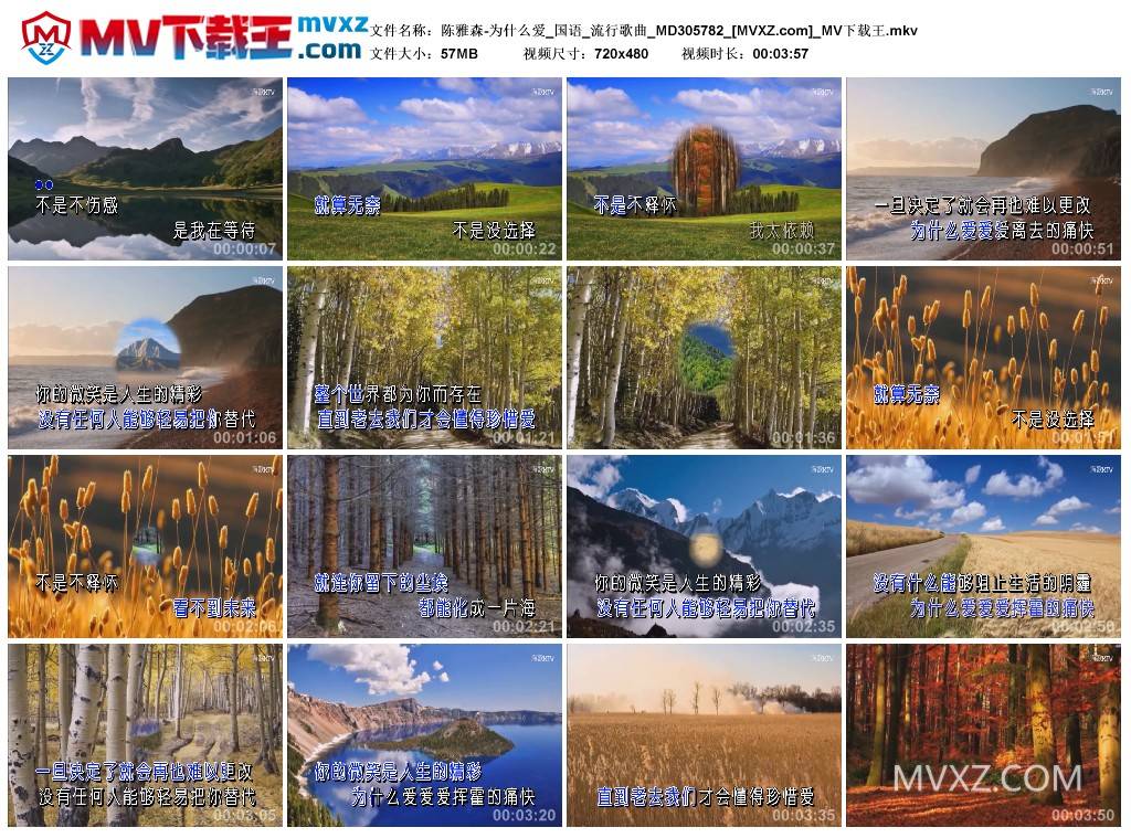 陈雅森-为什么爱_国语_流行歌曲_MD305782